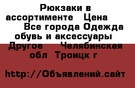 Рюкзаки в ассортименте › Цена ­ 3 500 - Все города Одежда, обувь и аксессуары » Другое   . Челябинская обл.,Троицк г.